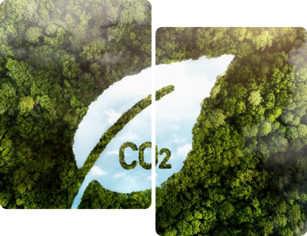 Carbon Footprinting & Neutrality