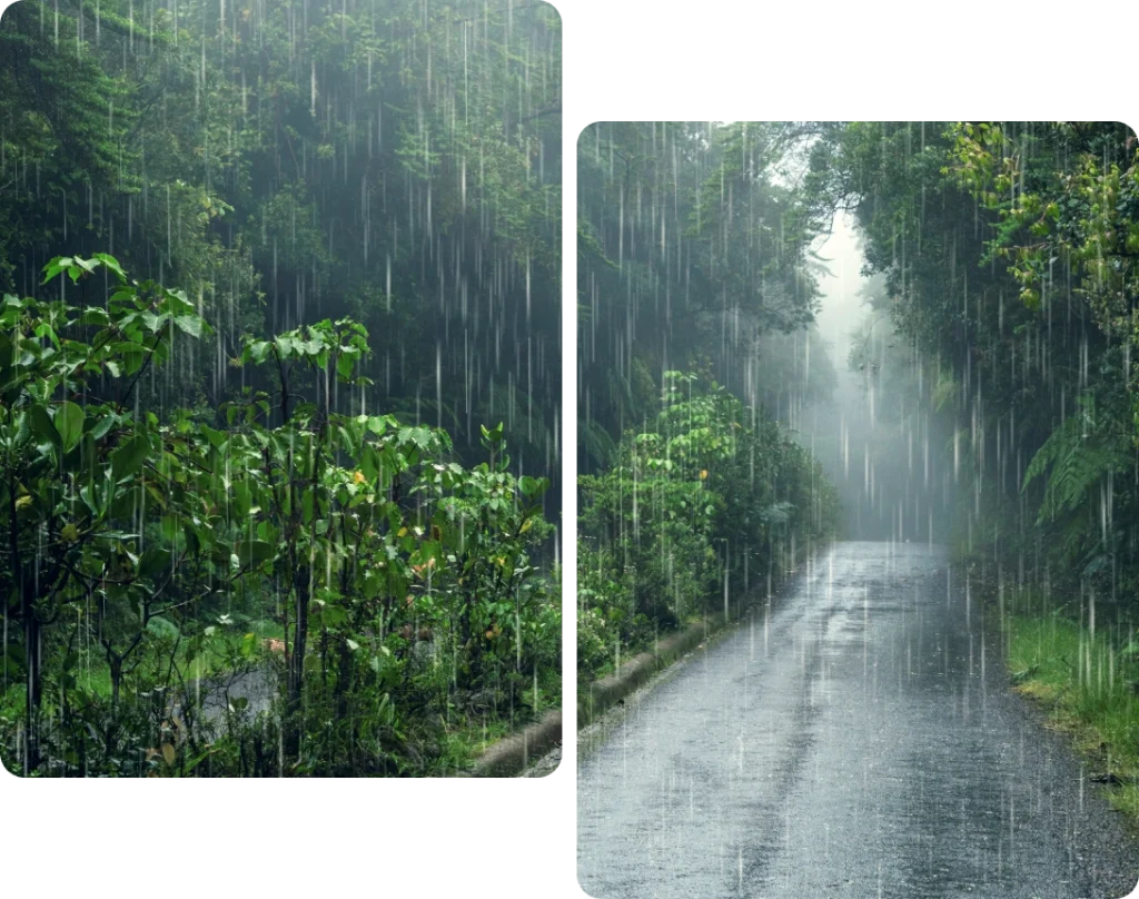 Climate Change sustainability services